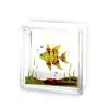 Glass Block - Powderblue 2 HomeOne Tech Complete construction material products, pay attention to customer care 000466 HomeOne Tech Complete construction material products, pay attention to customer care